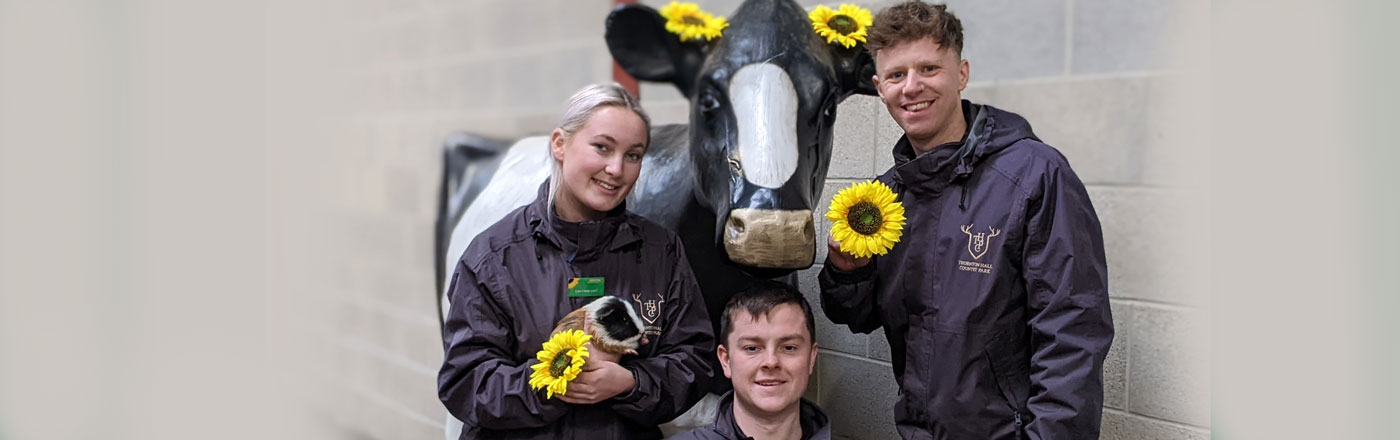Thornton Hall Country Park supports Hidden Disabilities Sunflower