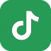 TikTok icon